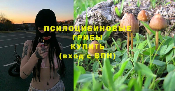 герыч Бородино