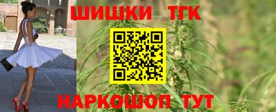 индика Лесосибирск