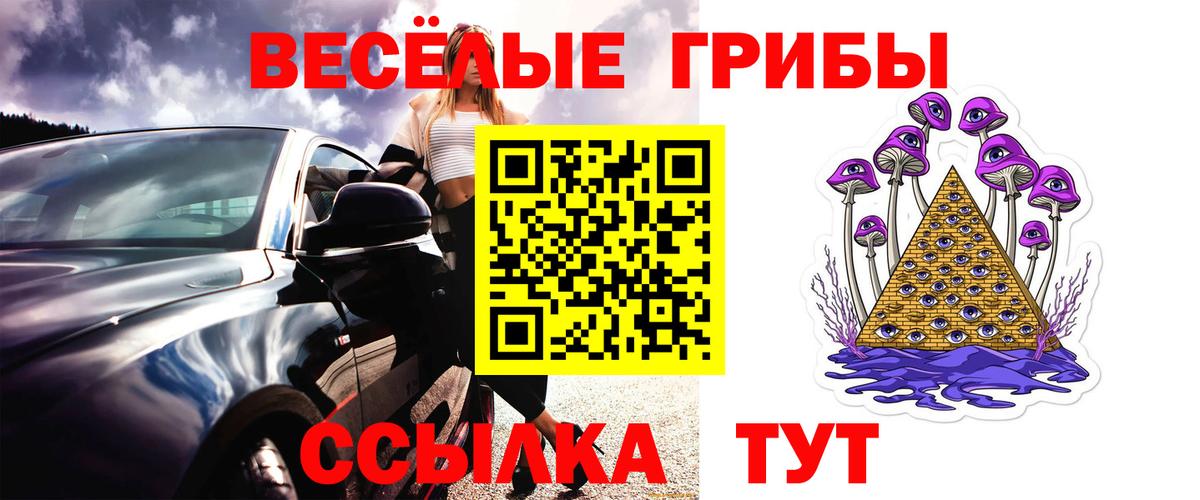 Псилоцибиновые грибы прущие грибы  Вход с VPN  Выборг  Галлюциногенные грибы прущие грибы 